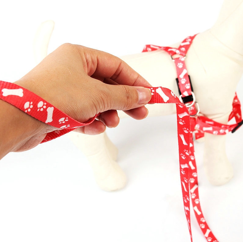 NUXIE® Szelki dla psa kota yorka królika lekkie smycz 1cm 120cm 1534
