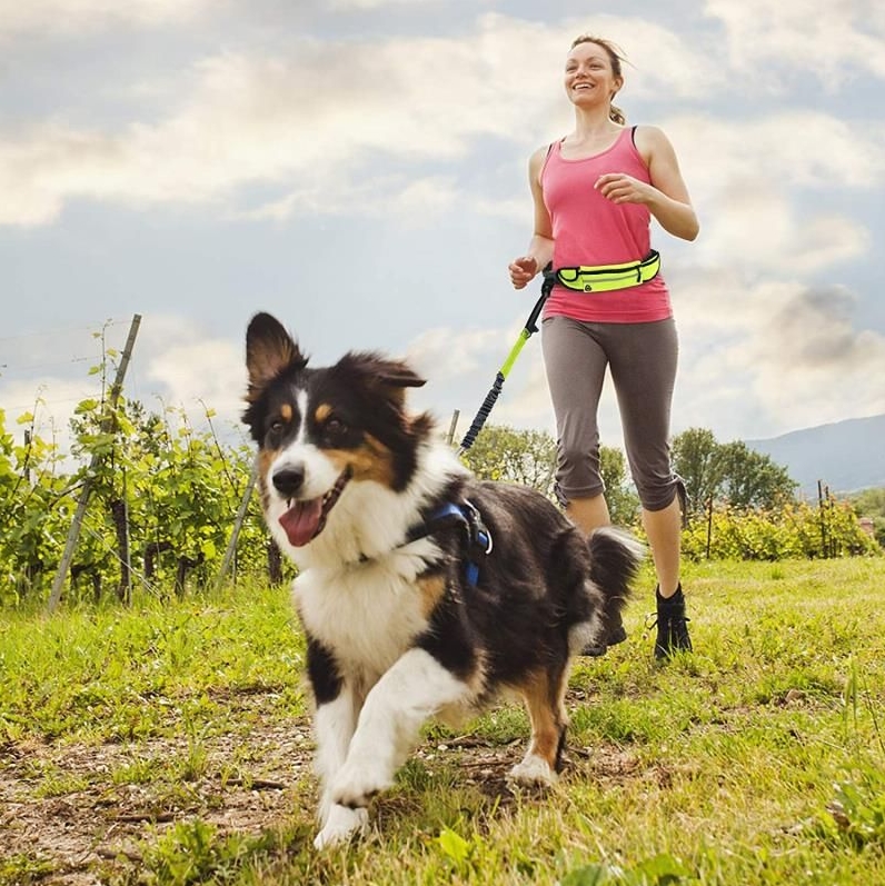 Pas biodrowy do biegania z psem smycz elastyczna zestaw