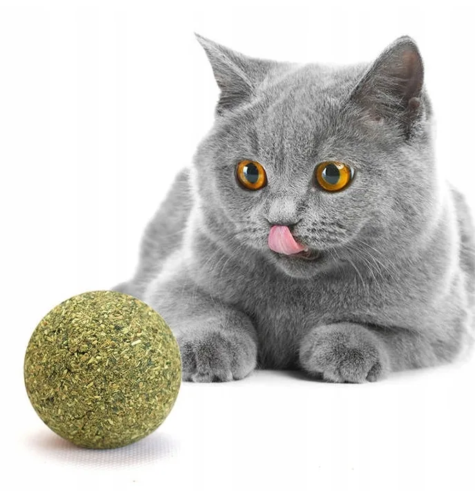 Kocimiętka piłka dla kota zabawka kulka piłeczka 3cm