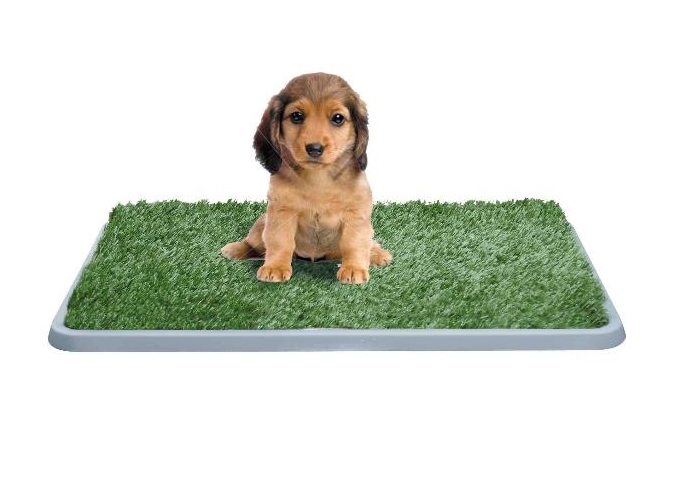 NUXIE® Duża kuweta potty patch z trawą dla psa psów mata xxl 0912